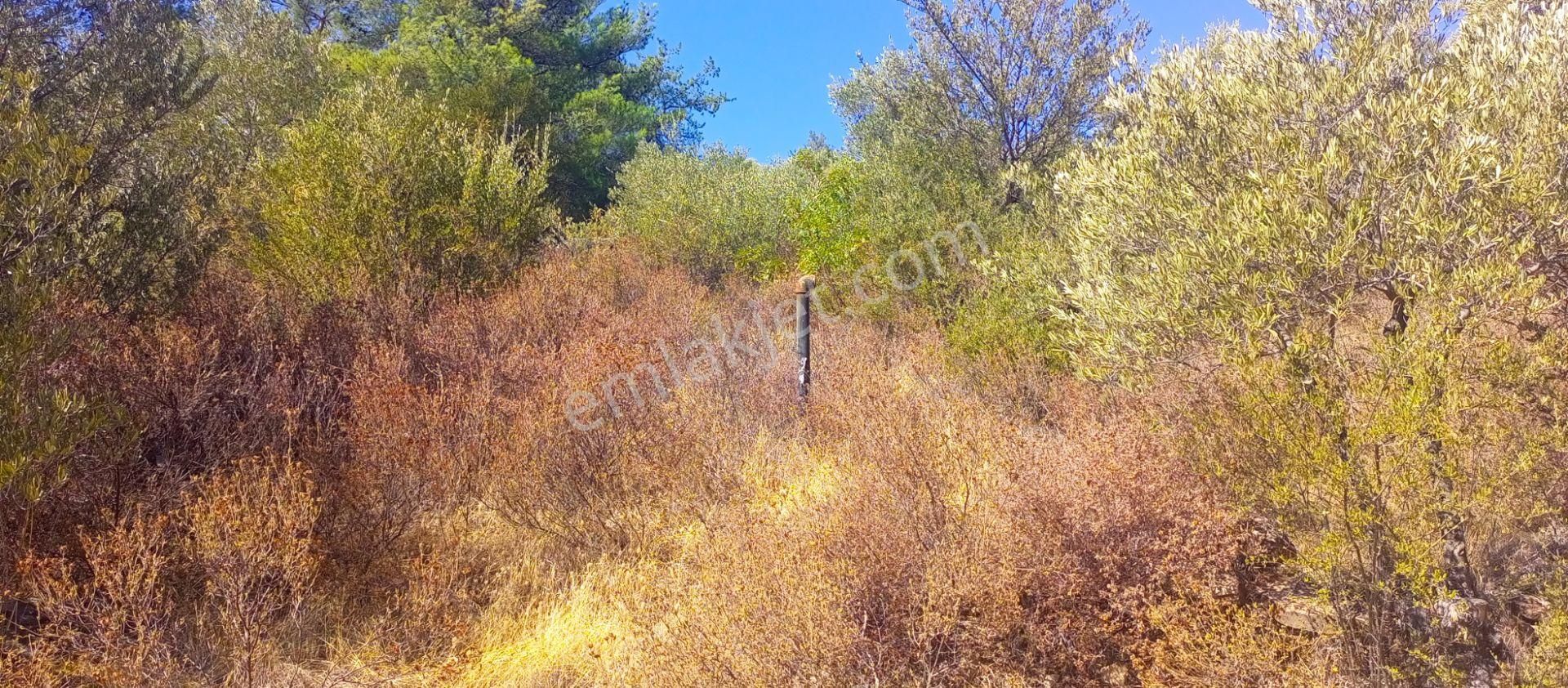 Torbalı Emlak'tan Yatırımlık Bayındır Arıkbaşı'nda 6300m2 Arazi Satılıktır - Görsel 6