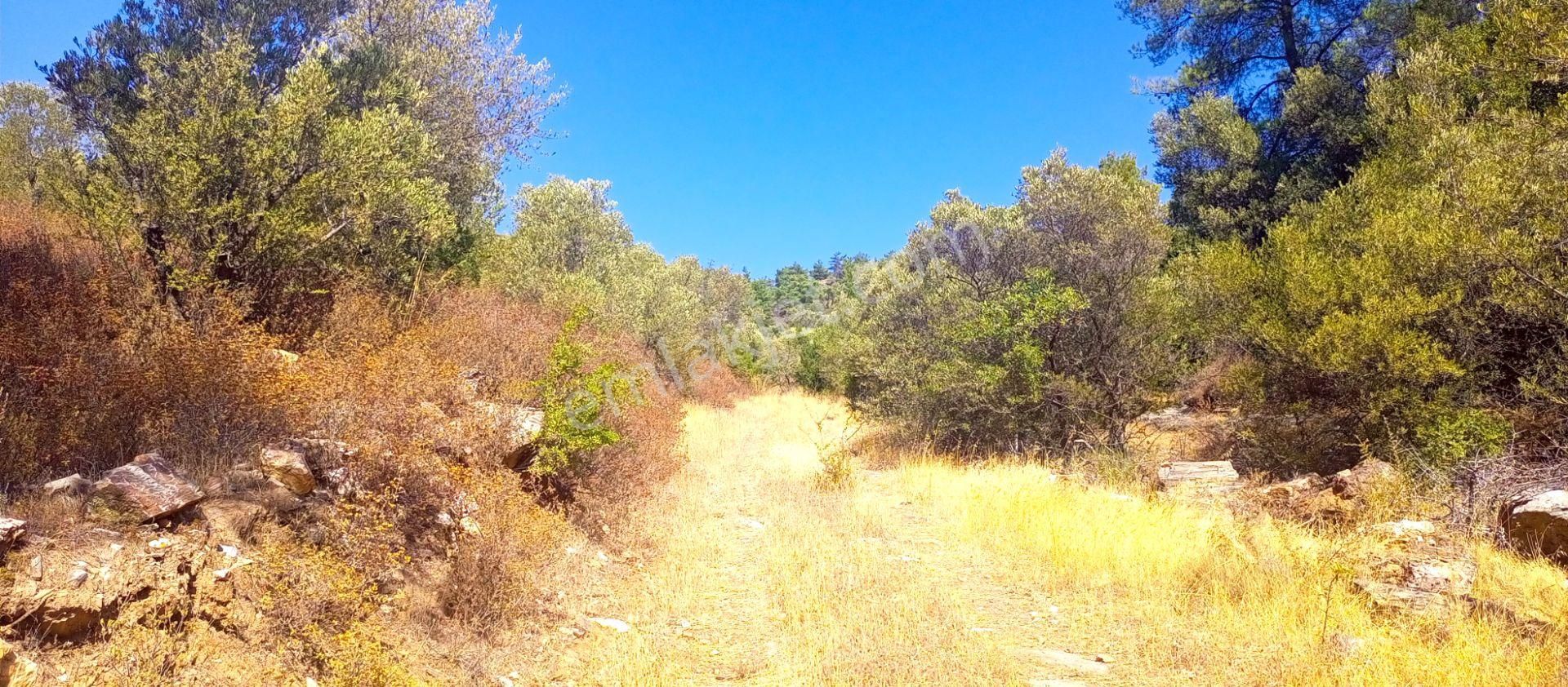 Torbalı Emlak'tan Yatırımlık Bayındır Arıkbaşı'nda 6300m2 Arazi Satılıktır - Görsel 5