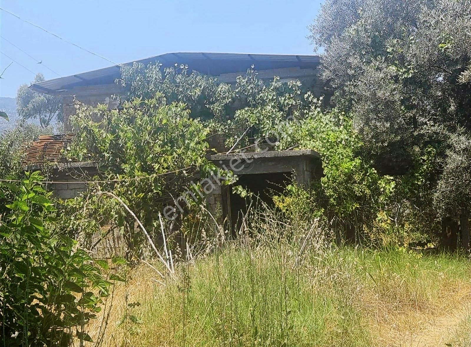 Bozdoğan Merkeze Yakın Satılık Hobi Bahçesi - Görsel 5