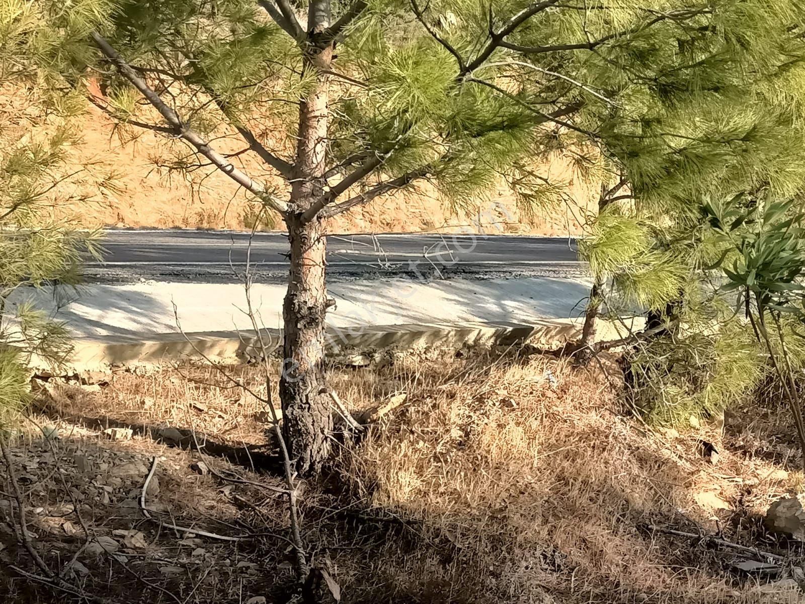 Aydıncık Emlaktan Satılık Tarla - Görsel 11