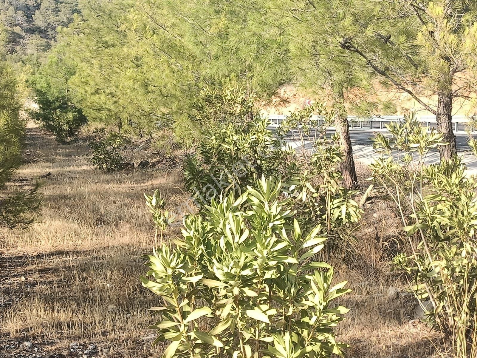 Aydıncık Emlaktan Satılık Tarla - Görsel 2