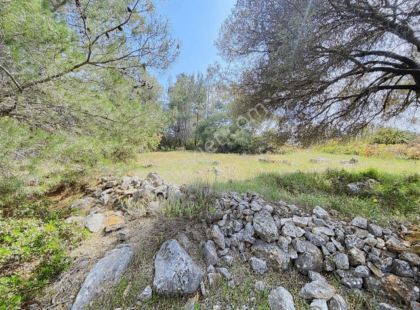 Bodrum Yalıçiftlik Yerleşime Yakın İmar Sınırında Hisseli Tarla - Görsel 6