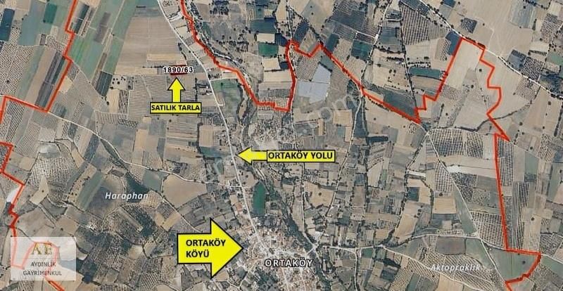 Aydınlık Emlak'tan Ortaköy'de Asfalta Yakın Fırsat Tarla - Görsel 5