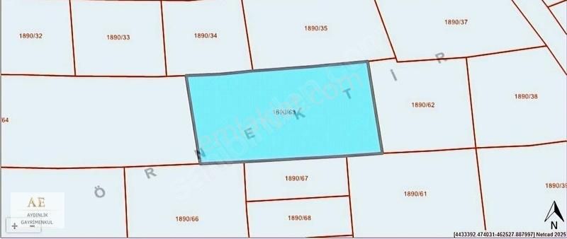 Aydınlık Emlak'tan Ortaköy'de Asfalta Yakın Fırsat Tarla - Görsel 2