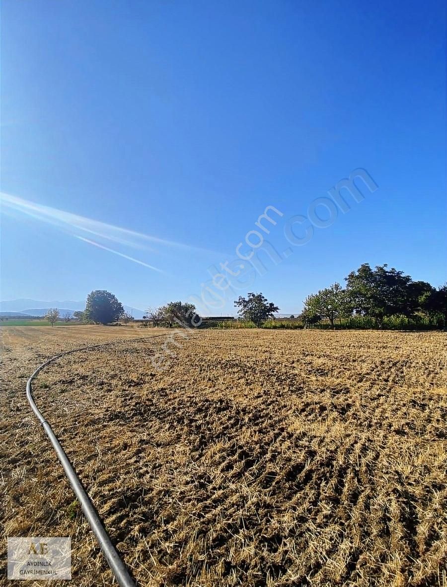 Aydınlık Emlak'tan Ortaköy'de Asfalta Yakın Fırsat Tarla - Görsel 10