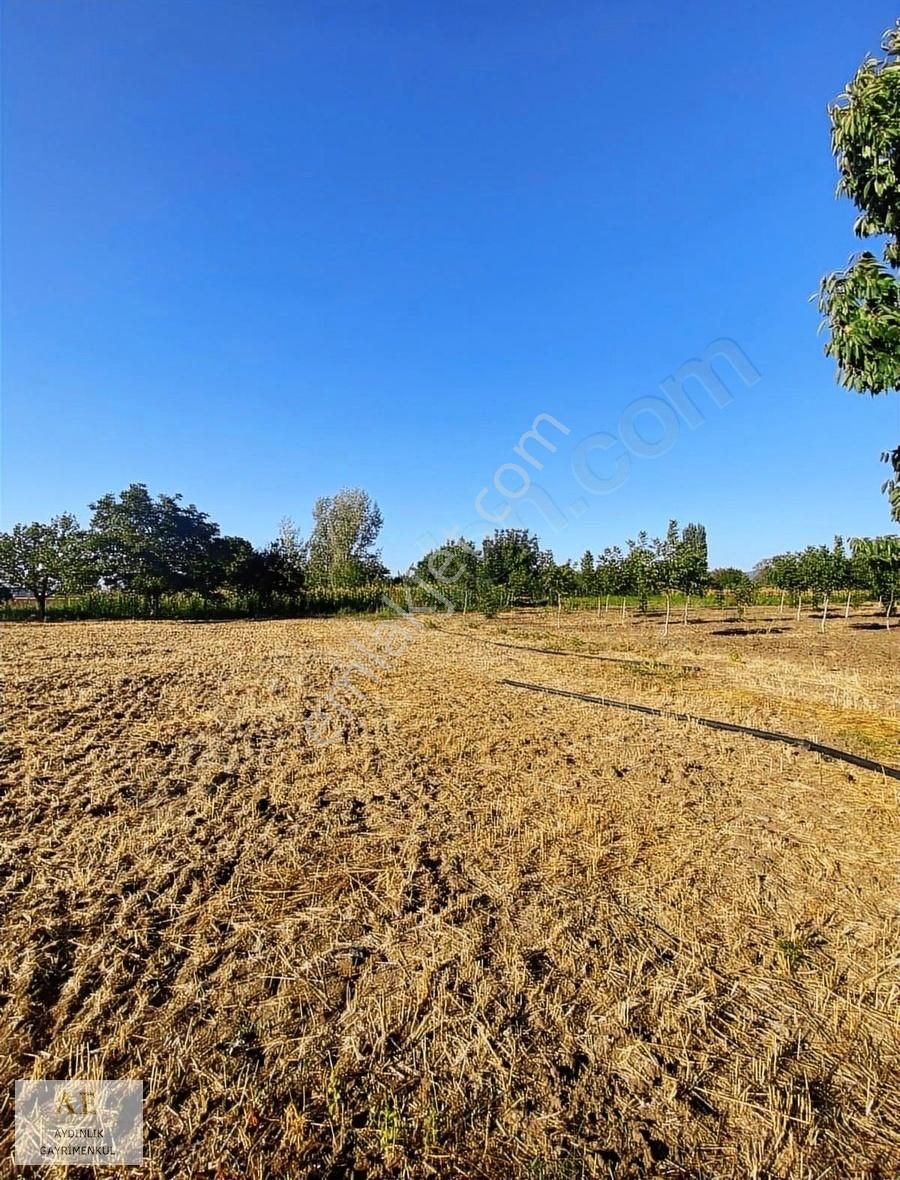 Aydınlık Emlak'tan Ortaköy'de Asfalta Yakın Fırsat Tarla - Görsel 9