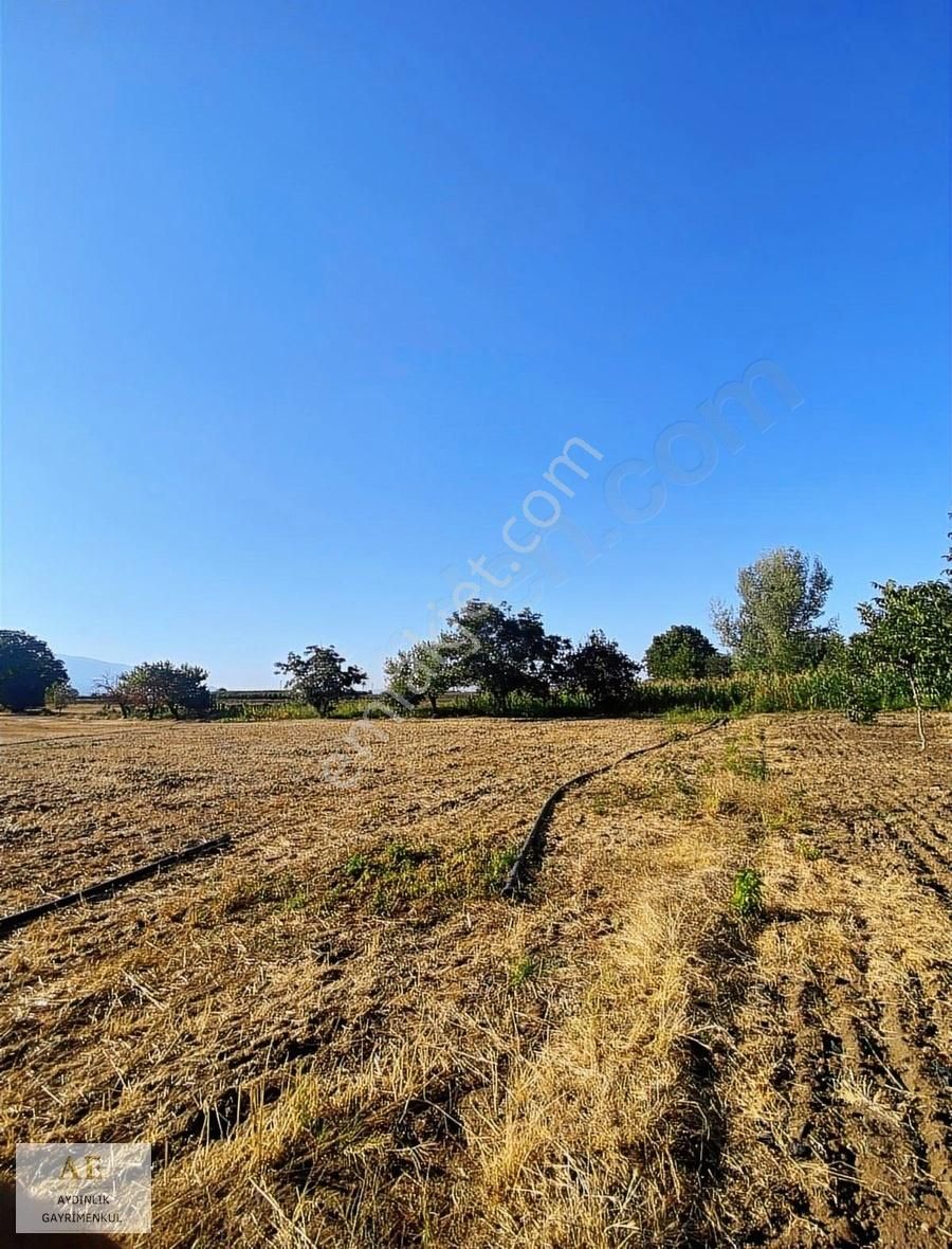 Aydınlık Emlak'tan Ortaköy'de Asfalta Yakın Fırsat Tarla - Görsel 11