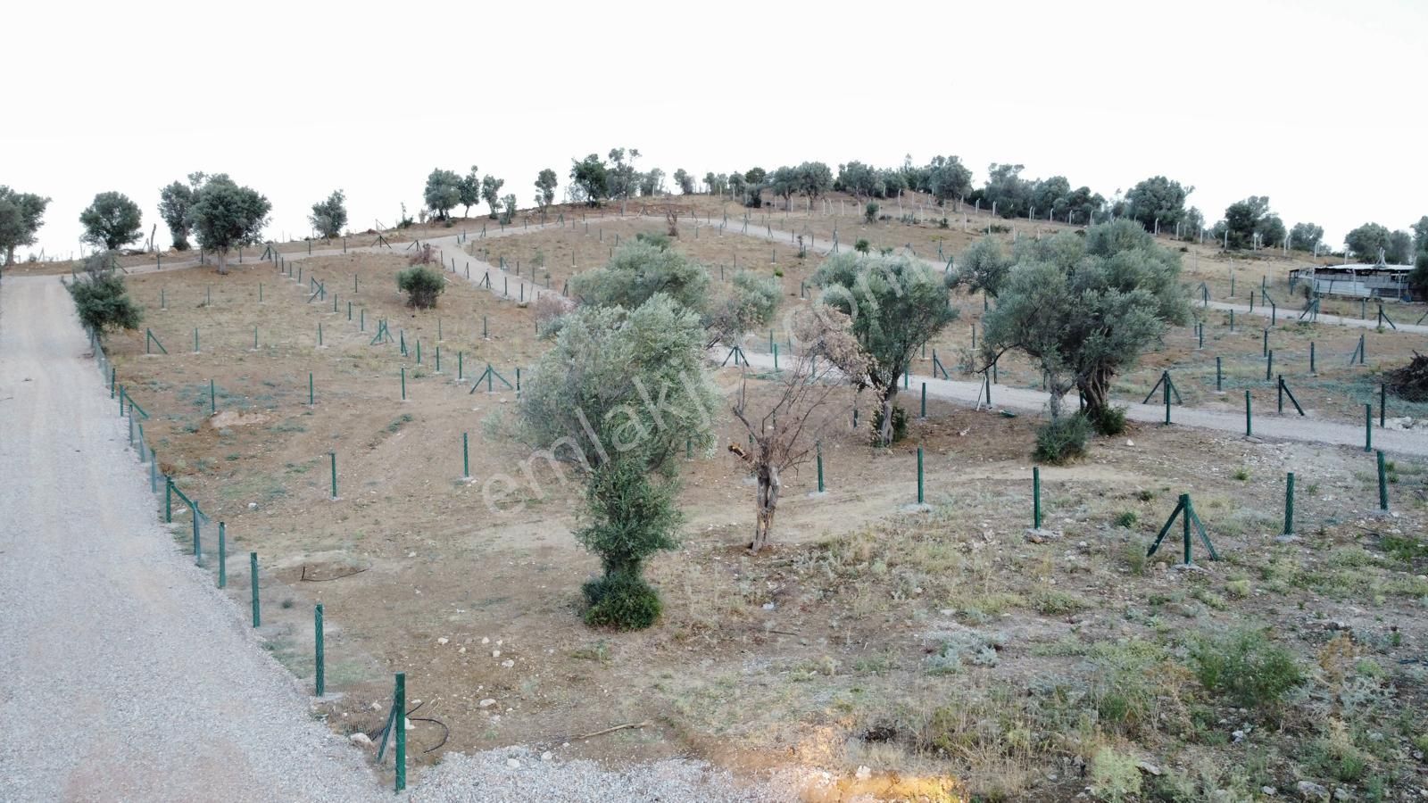 Bal Gayrimenkul&inşaat Akçaköy Hazır Proje Uygun Fiyat !! - Görsel 13