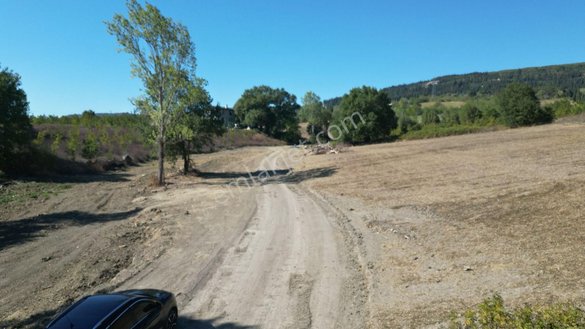 Kocaeli Karamürsel İnebeyli 4411 M2 Satılık Tarla - Görsel 13