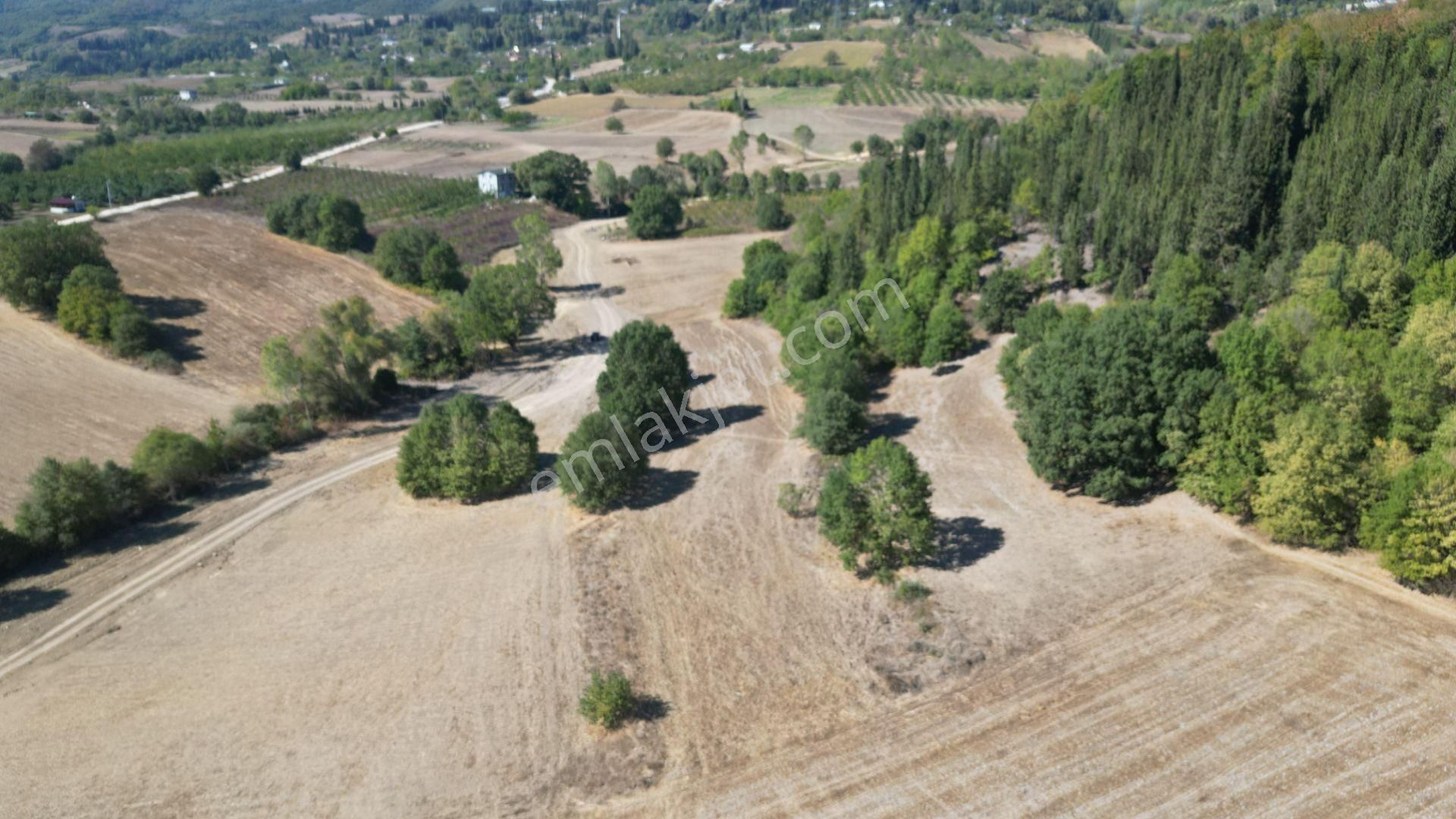 Kocaeli Karamürsel İnebeyli 4411 M2 Satılık Tarla - Görsel 4