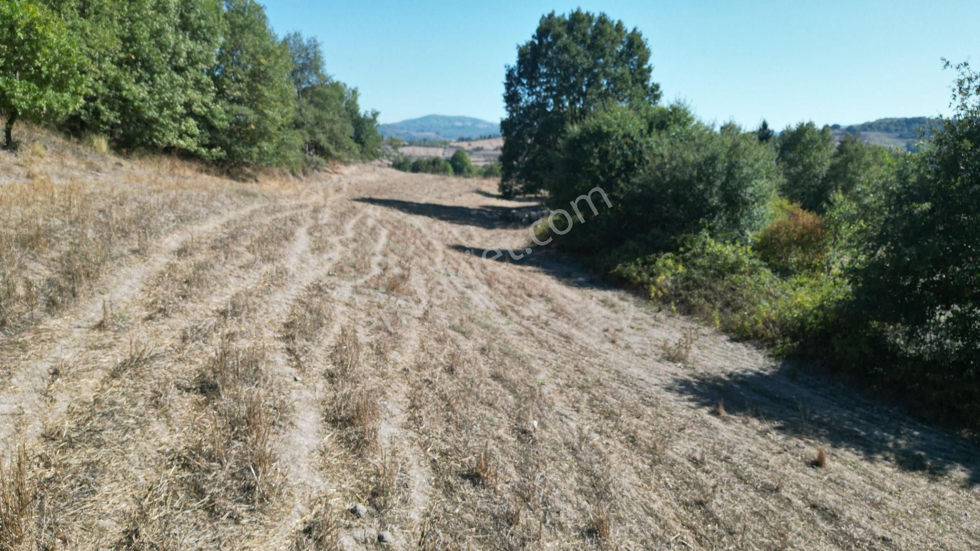 Kocaeli Karamürsel İnebeyli 4411 M2 Satılık Tarla - Görsel 6