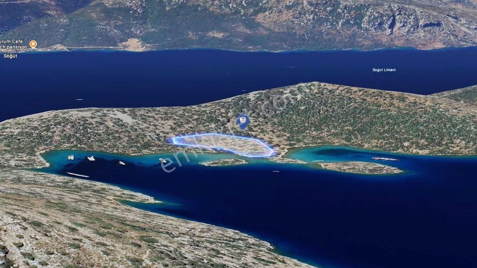 Söğütte Yarımada İçinde, Denize Sıfır Koya Sahip 5.387m² Tarla