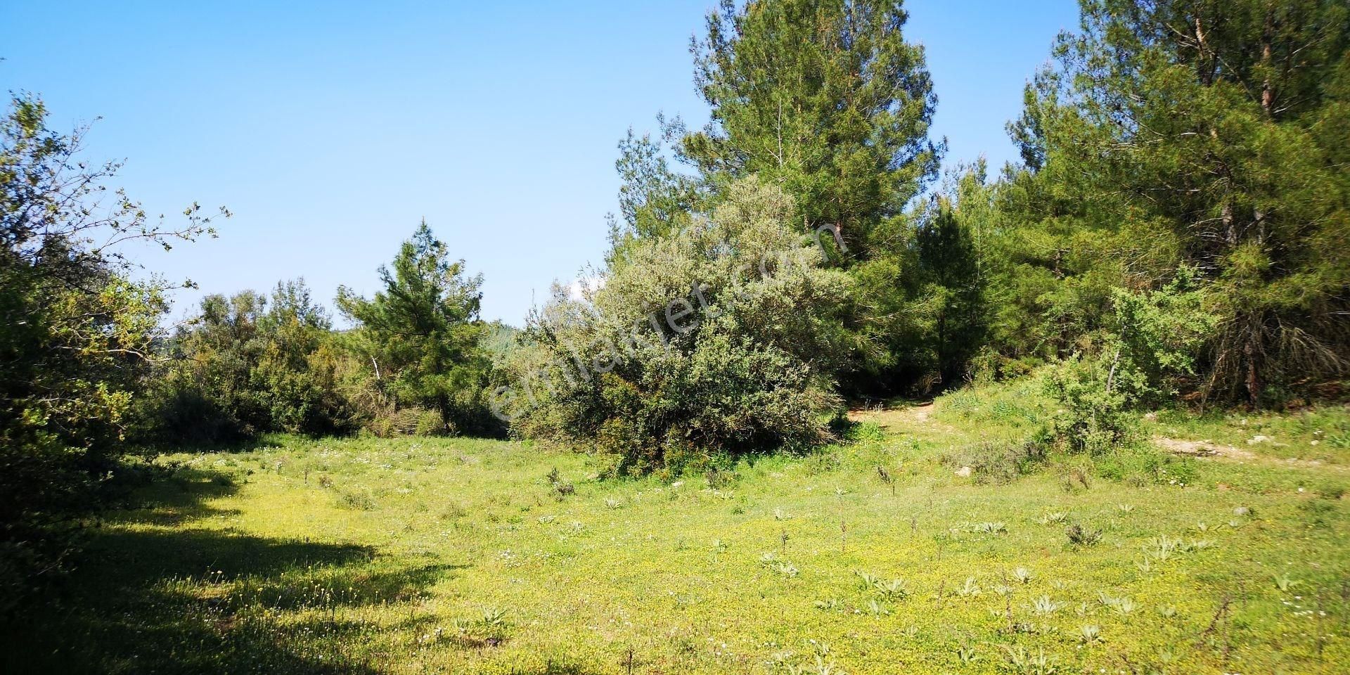 Ekoturizm İmarlı Milas Antikköy Projesine Geç Kalmayın - Görsel 18