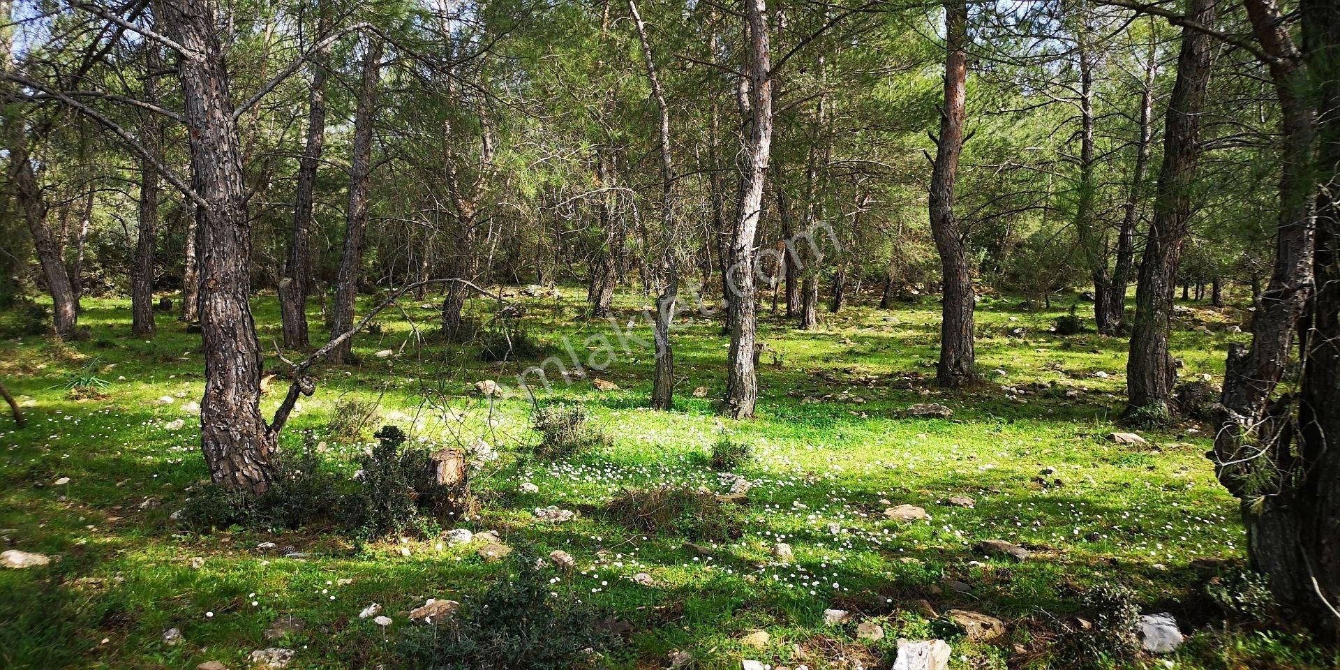 Ekoturizm İmarlı Milas Antikköy Projesine Geç Kalmayın - Görsel 11