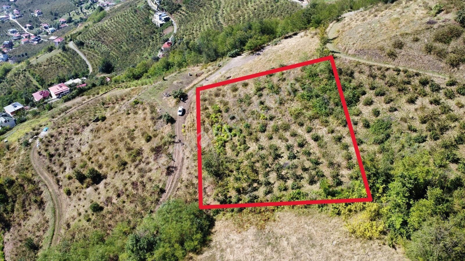 Trabzon Akçaabat'ta Satılık Arazi - Görsel 13
