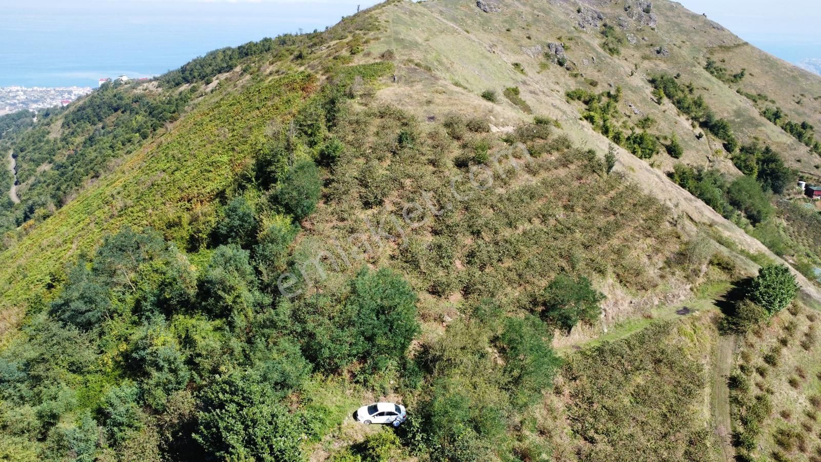 Trabzon Akçaabat'ta Satılık Arazi - Görsel 24