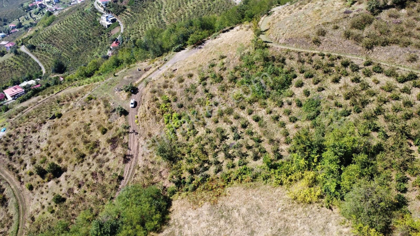 Trabzon Akçaabat'ta Satılık Arazi - Görsel 23
