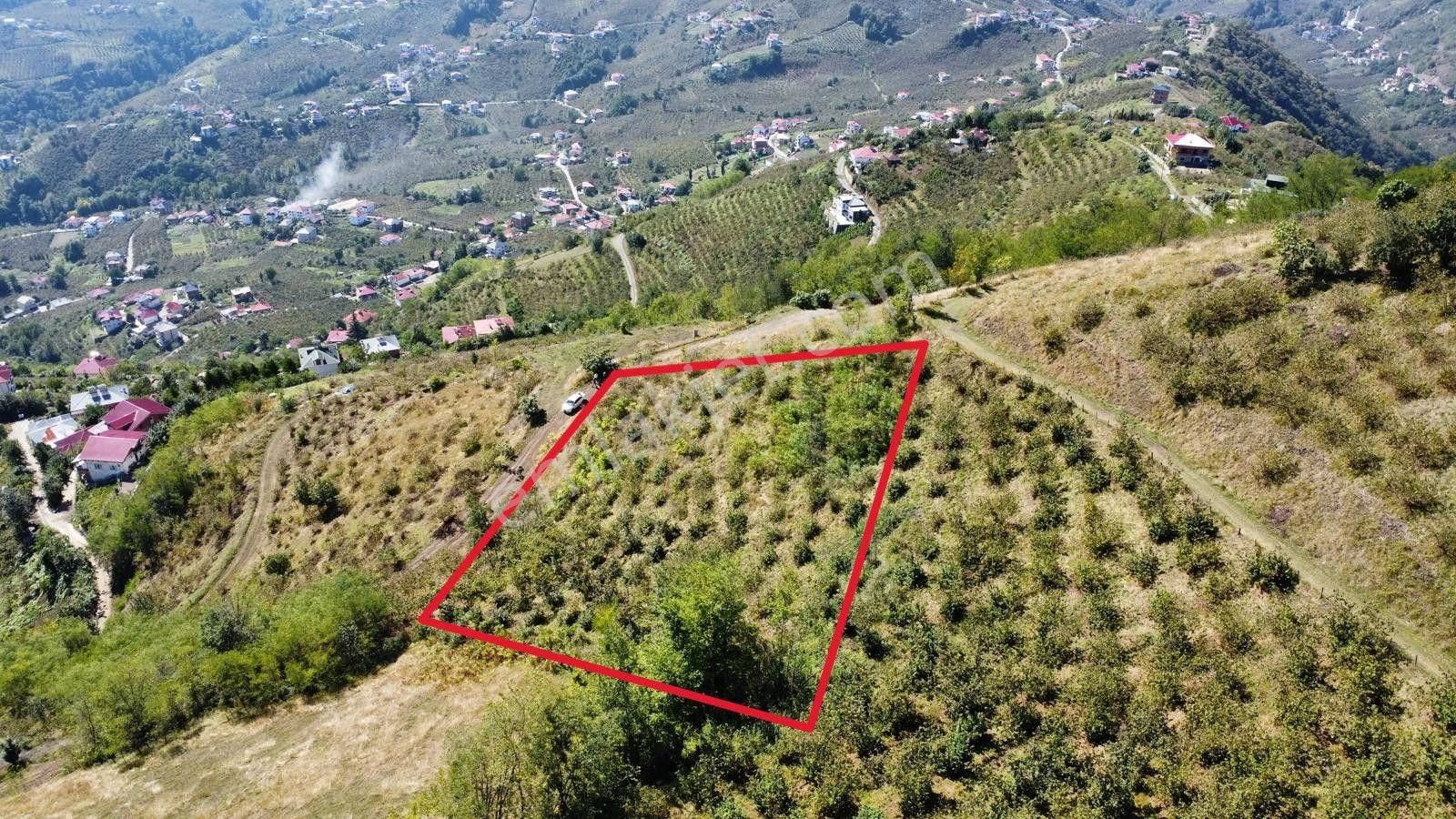 Trabzon Akçaabat'ta Satılık Arazi - Görsel 8