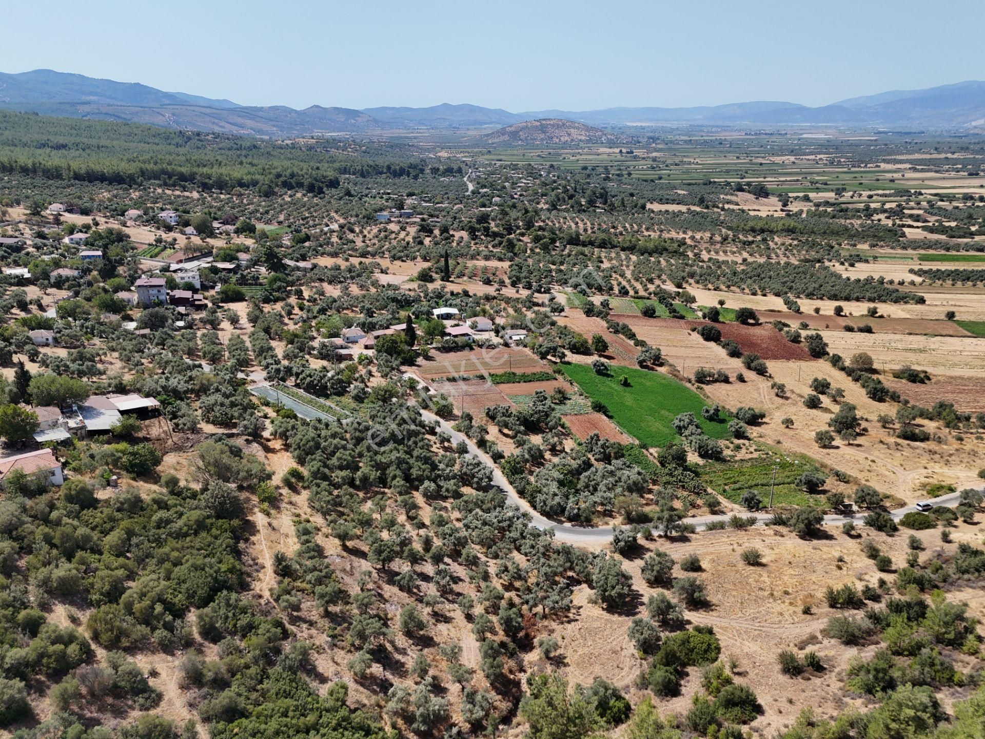 Milas Çamovalı’da 2.779 M² Köy İmarlı, Zeytin Ağaçlı Yatırımlık Tarla! - Görsel 22