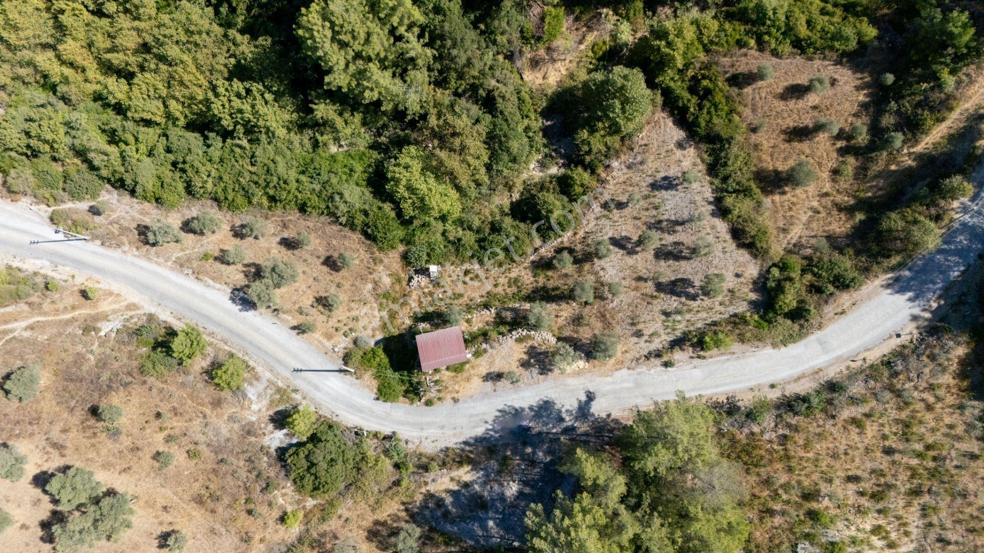 Cb Marina'dan Zeytinköy'de Hobi Bahçesi Satılık "zeytinlik" - Görsel 12