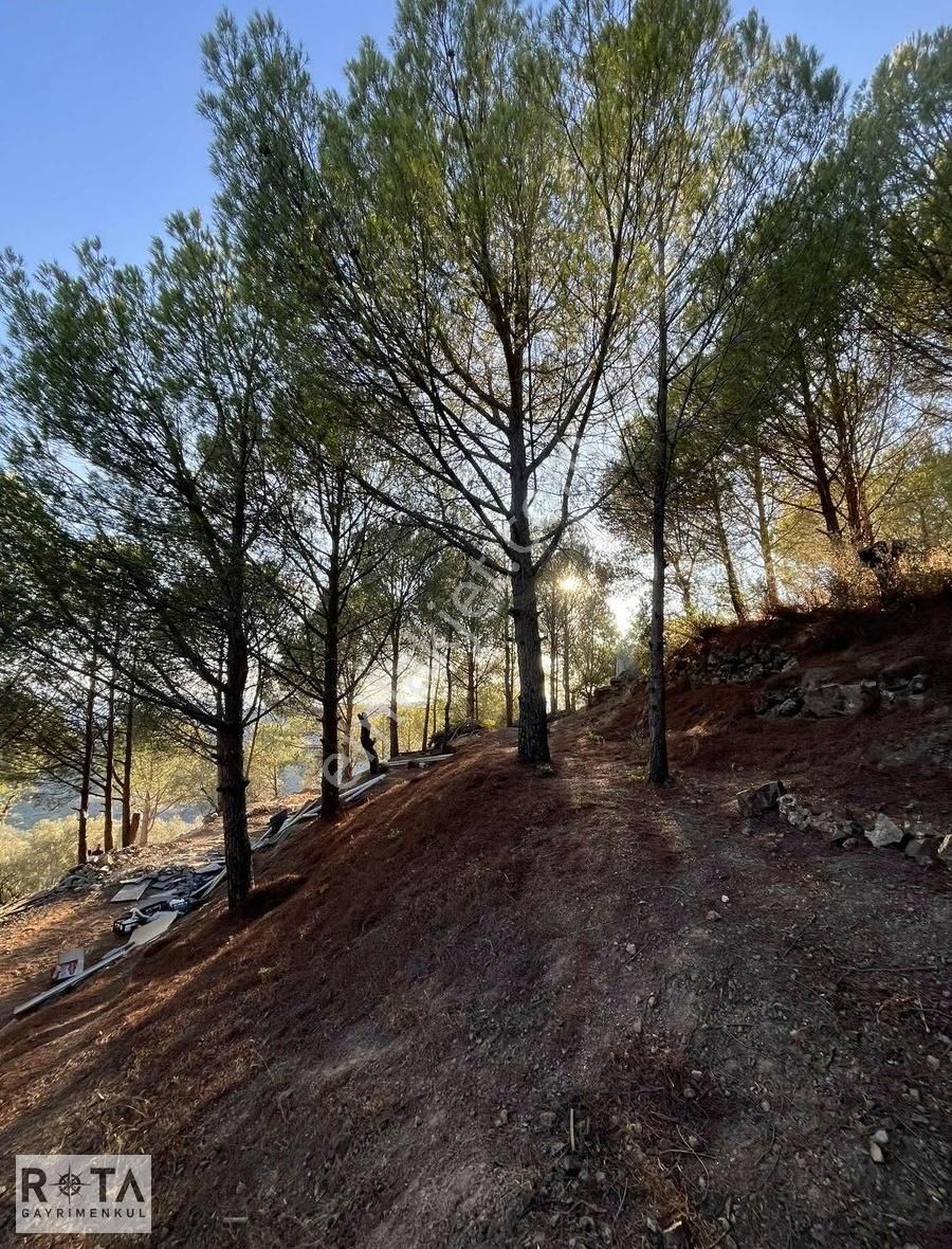 Altınoluk Yola Cephe Deniz Manzaralı 1600 M2 Zeytinlik-rota - Görsel 15