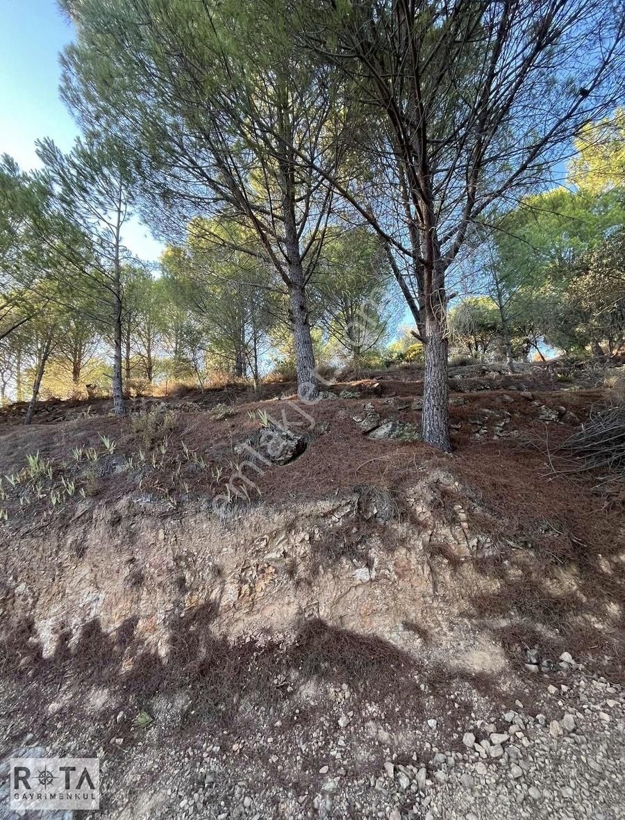 Altınoluk Yola Cephe Deniz Manzaralı 1600 M2 Zeytinlik-rota - Görsel 7