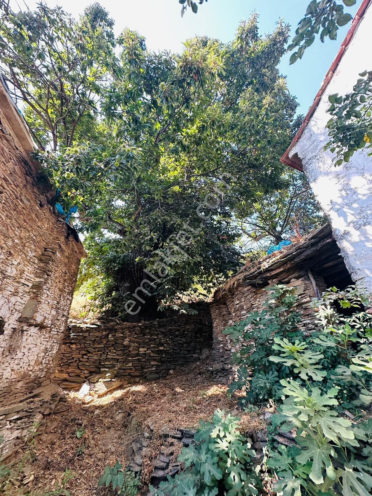 Mor Çiçek Emlak Tire Dallık Satılık Kargir Ev Ve Arsa - Görsel 2