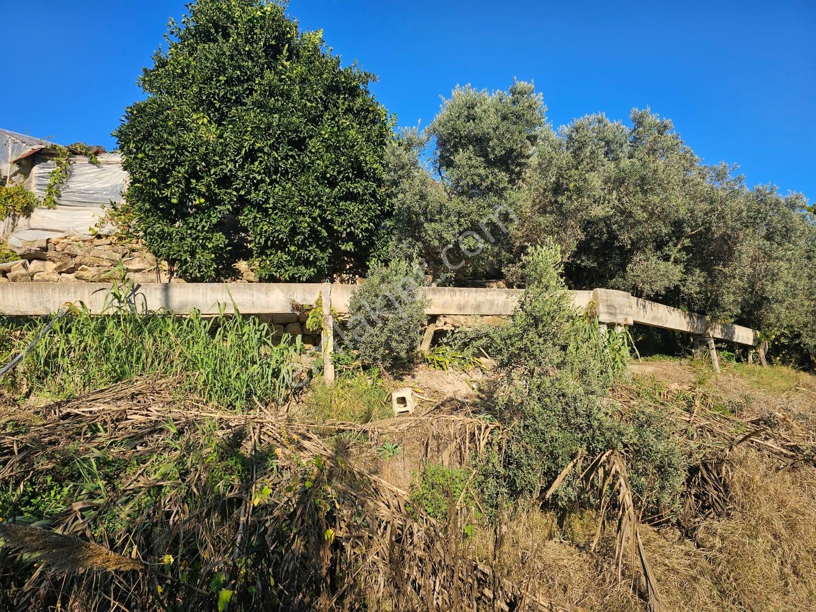 Manavgat Örenşehir Mahallesinde Köy Yerleşim Alanı İçerisinde Satılık Konut Arsası - Görsel 22