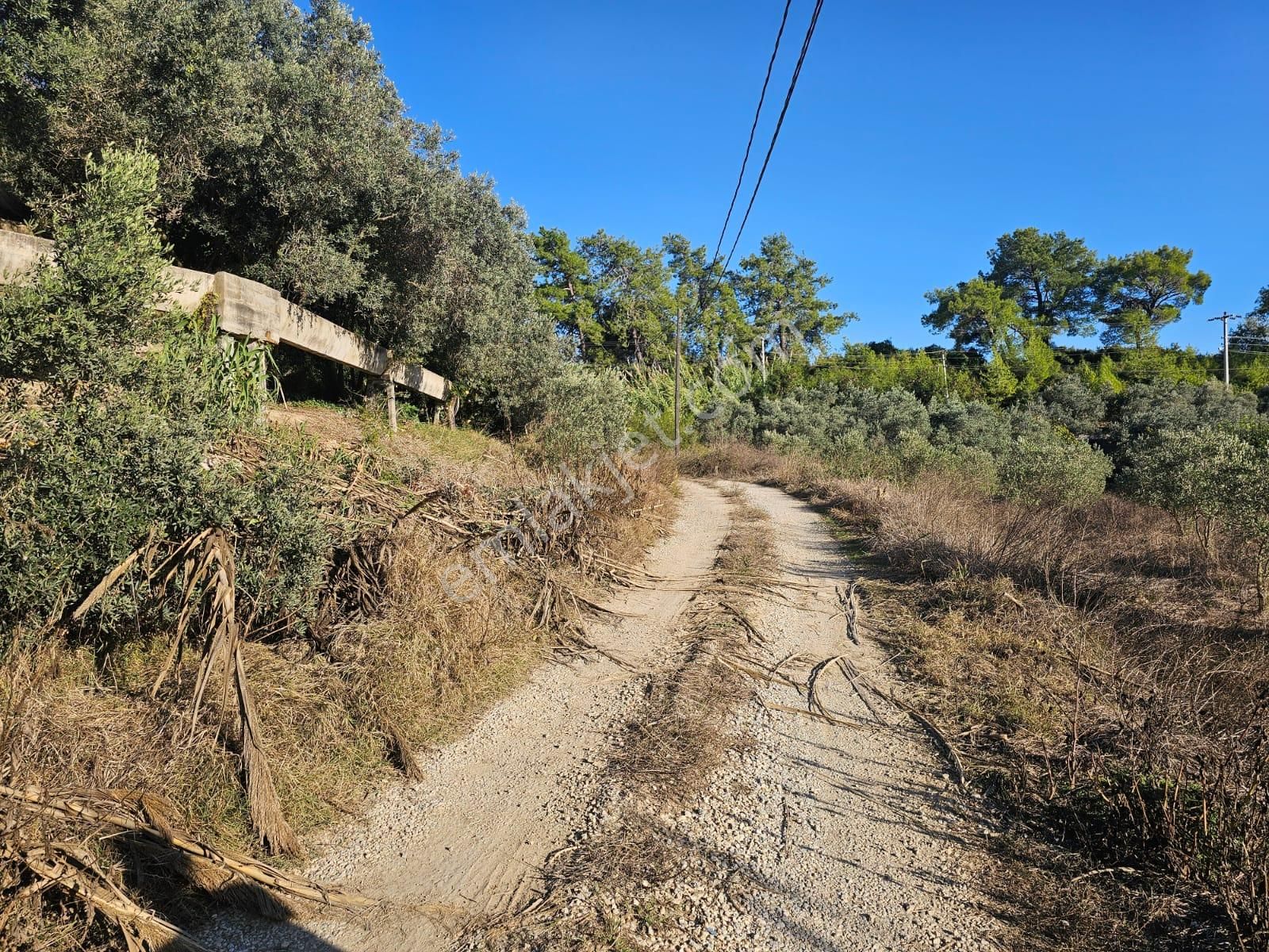 Manavgat Örenşehir Mahallesinde Köy Yerleşim Alanı İçerisinde Satılık Konut Arsası - Görsel 23