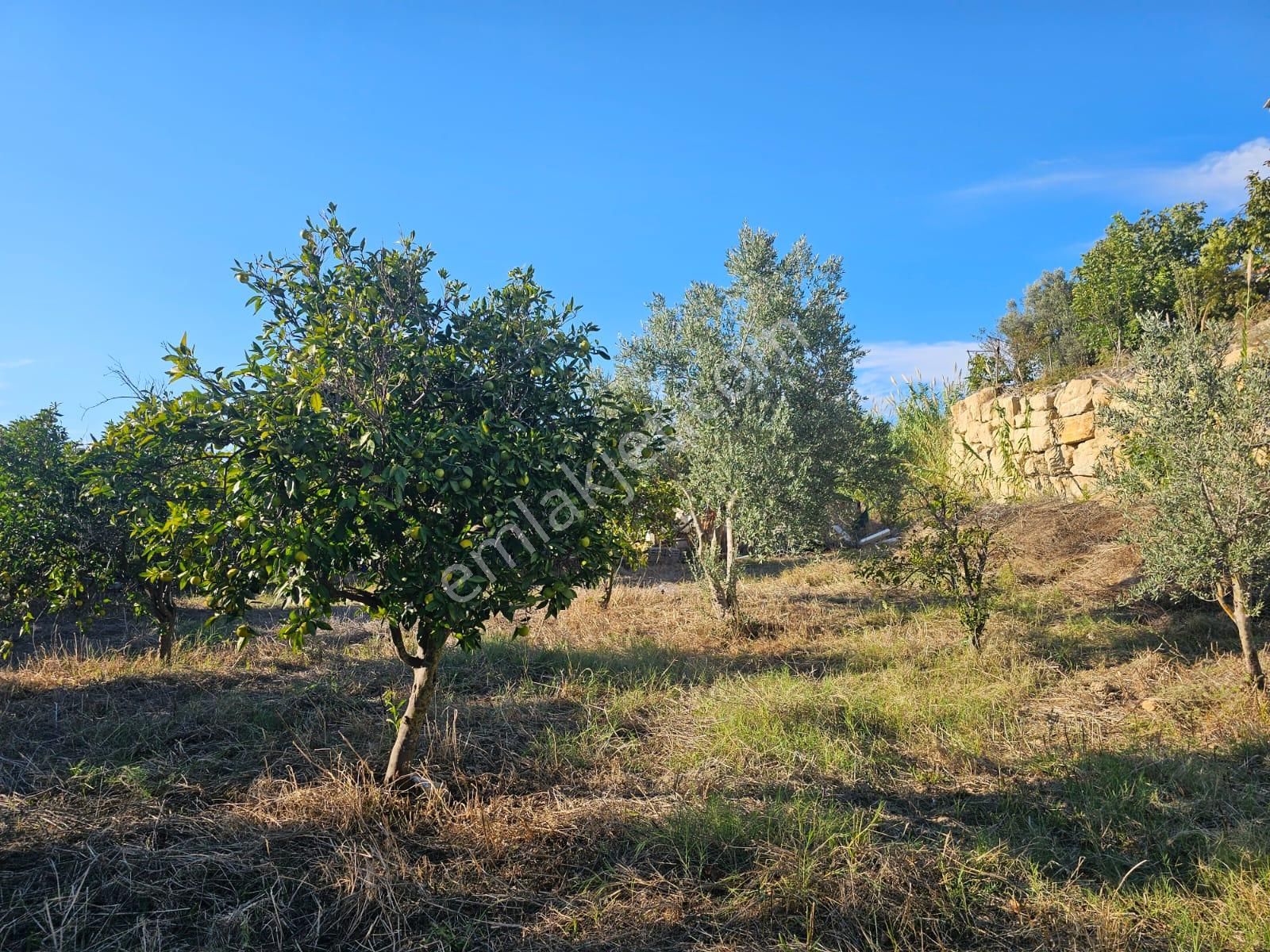Manavgat Örenşehir Mahallesinde Köy Yerleşim Alanı İçerisinde Satılık Konut Arsası - Görsel 18