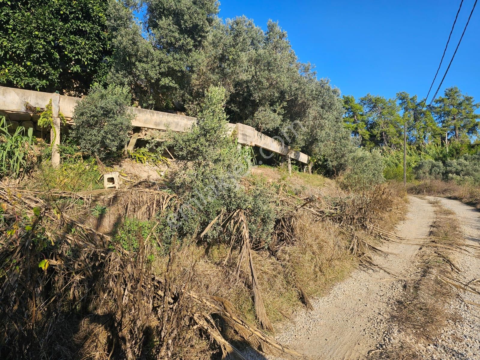 Manavgat Örenşehir Mahallesinde Köy Yerleşim Alanı İçerisinde Satılık Konut Arsası - Görsel 25