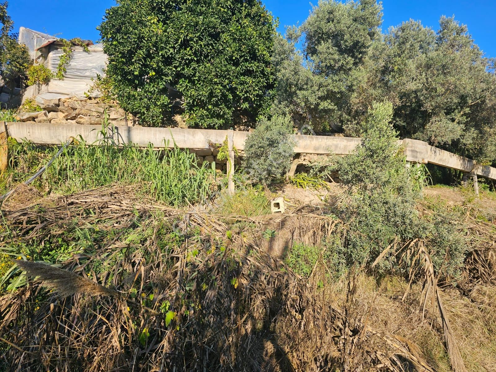 Manavgat Örenşehir Mahallesinde Köy Yerleşim Alanı İçerisinde Satılık Konut Arsası - Görsel 27