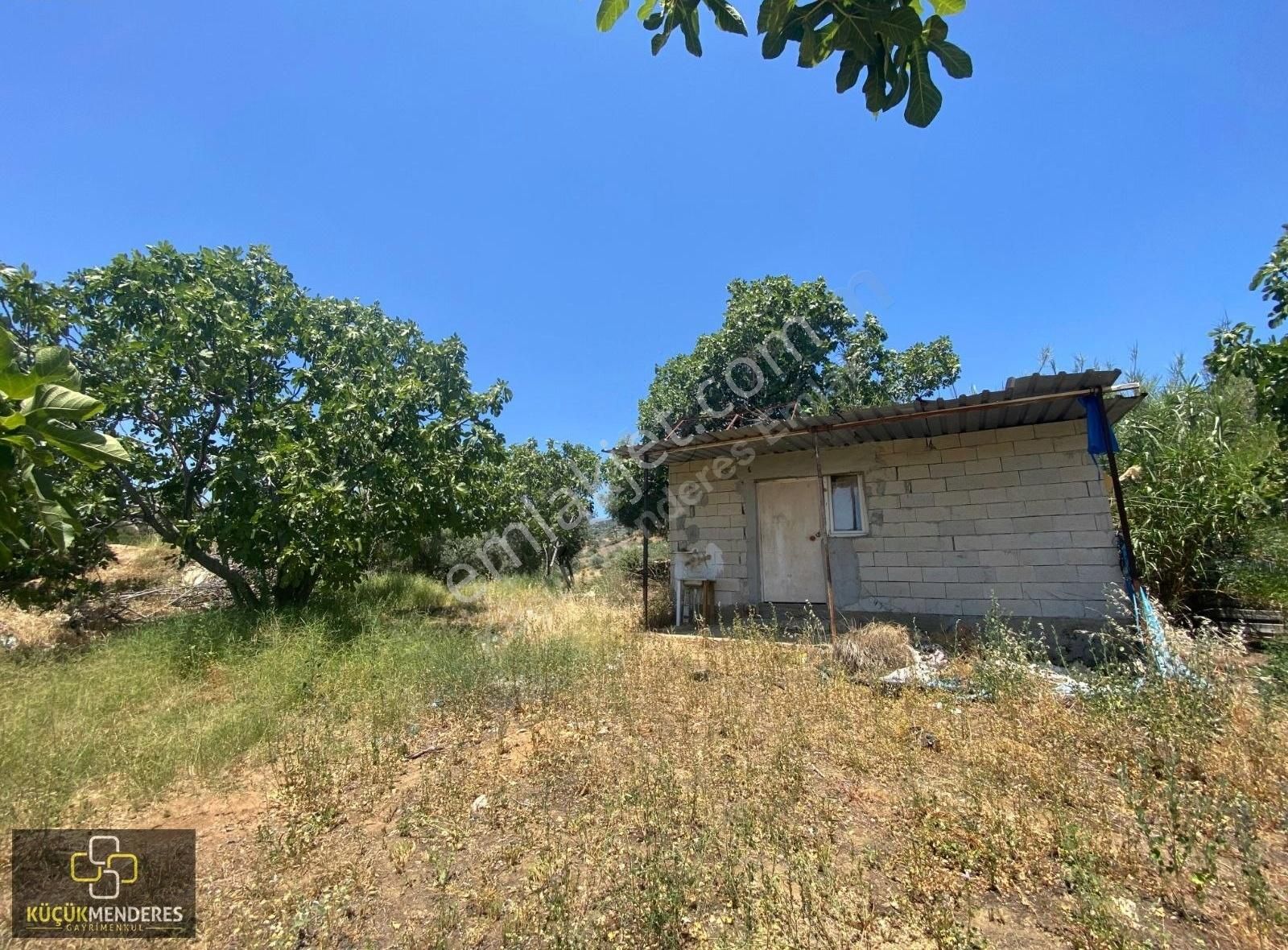 Küçük Menderes'ten Kiraz Veliler Mh Satılık Zeytin İncir Bahçesi - Görsel 34