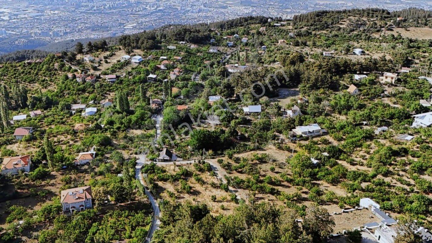 Fvr'den Manisa Yunusemre Turgutalp 4817 M2 Kirazlık Ve Evler - Görsel 6