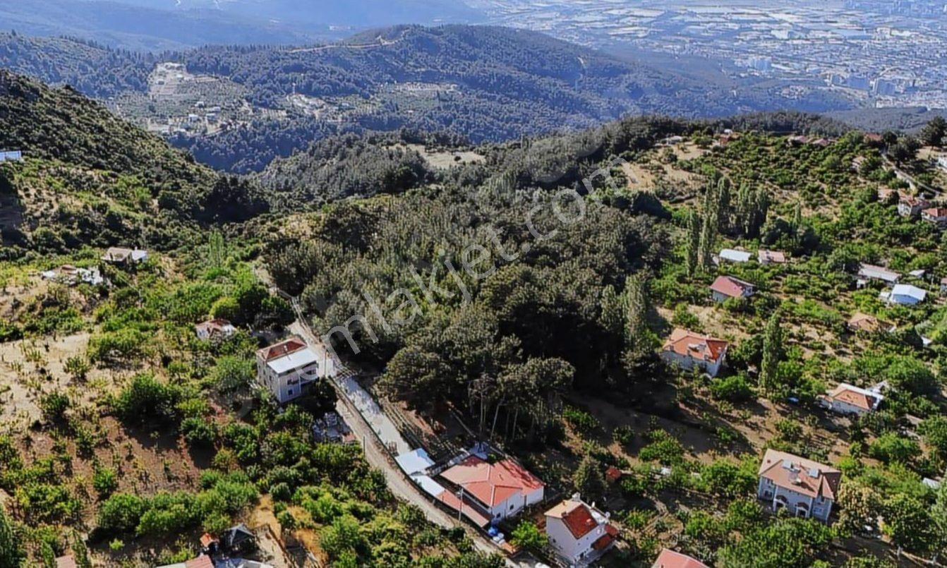 Fvr'den Manisa Yunusemre Turgutalp 4817 M2 Kirazlık Ve Evler - Görsel 8