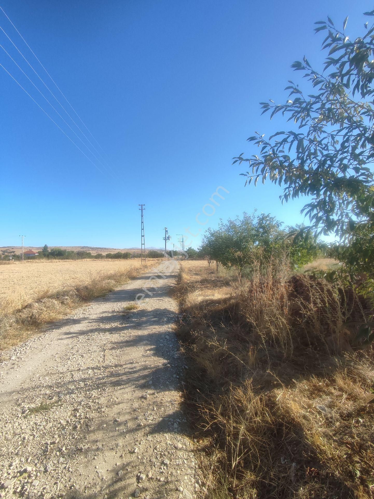 Yelten Yatirimlik 2290m2 Tarla - Görsel 8