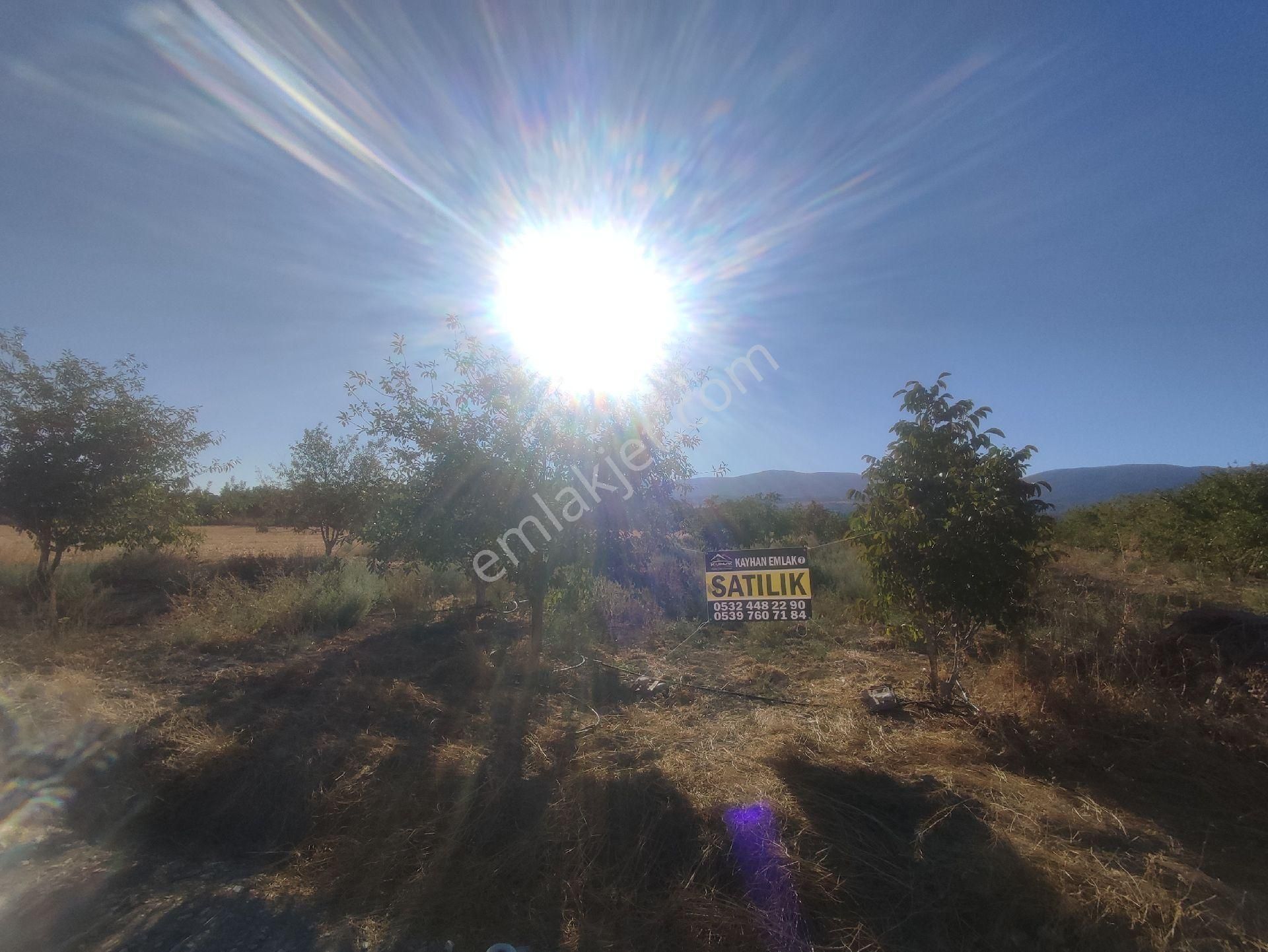 Yelten Yatirimlik 2290m2 Tarla - Görsel 5