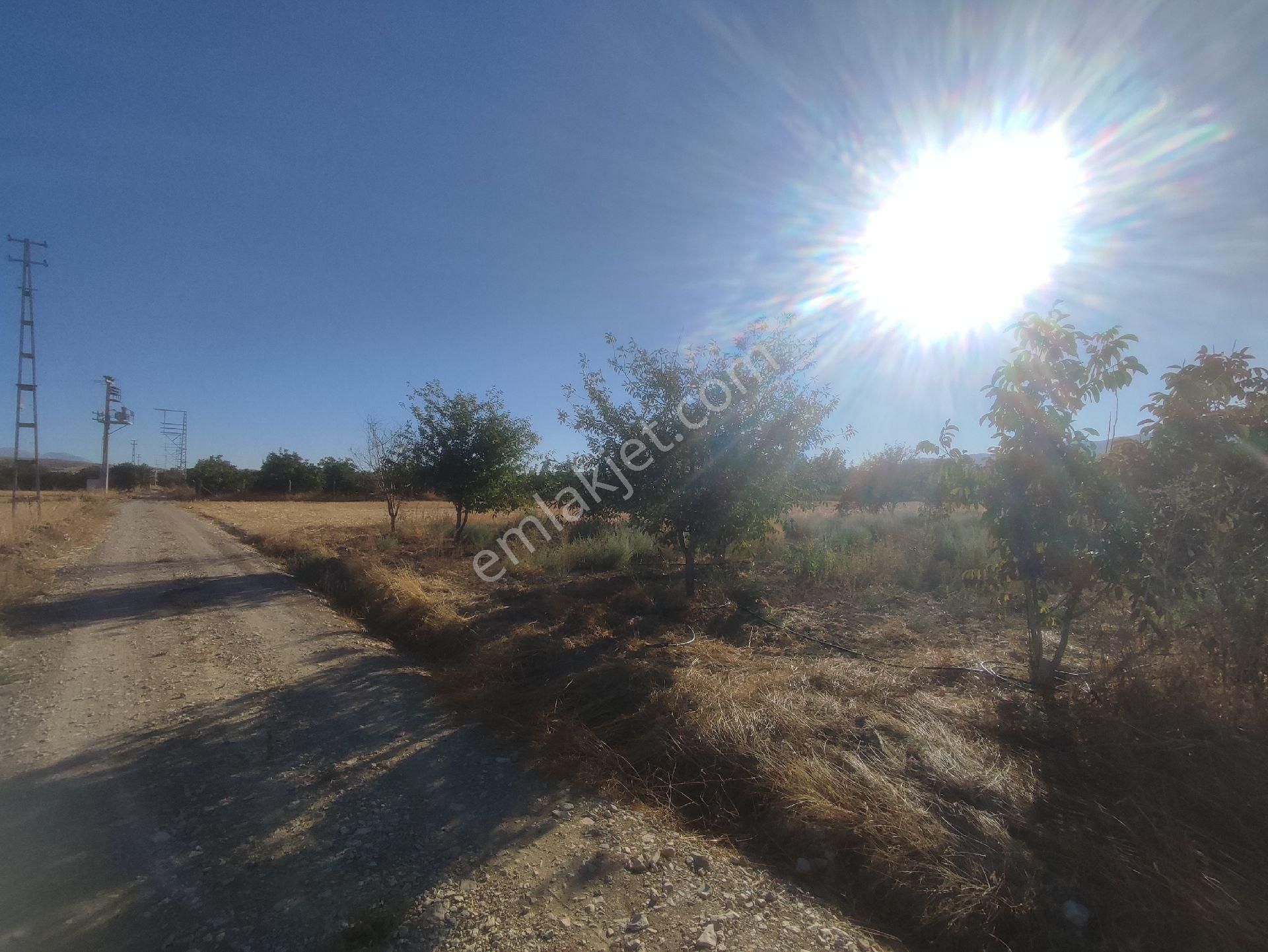 Yelten Yatirimlik 2290m2 Tarla - Görsel 6