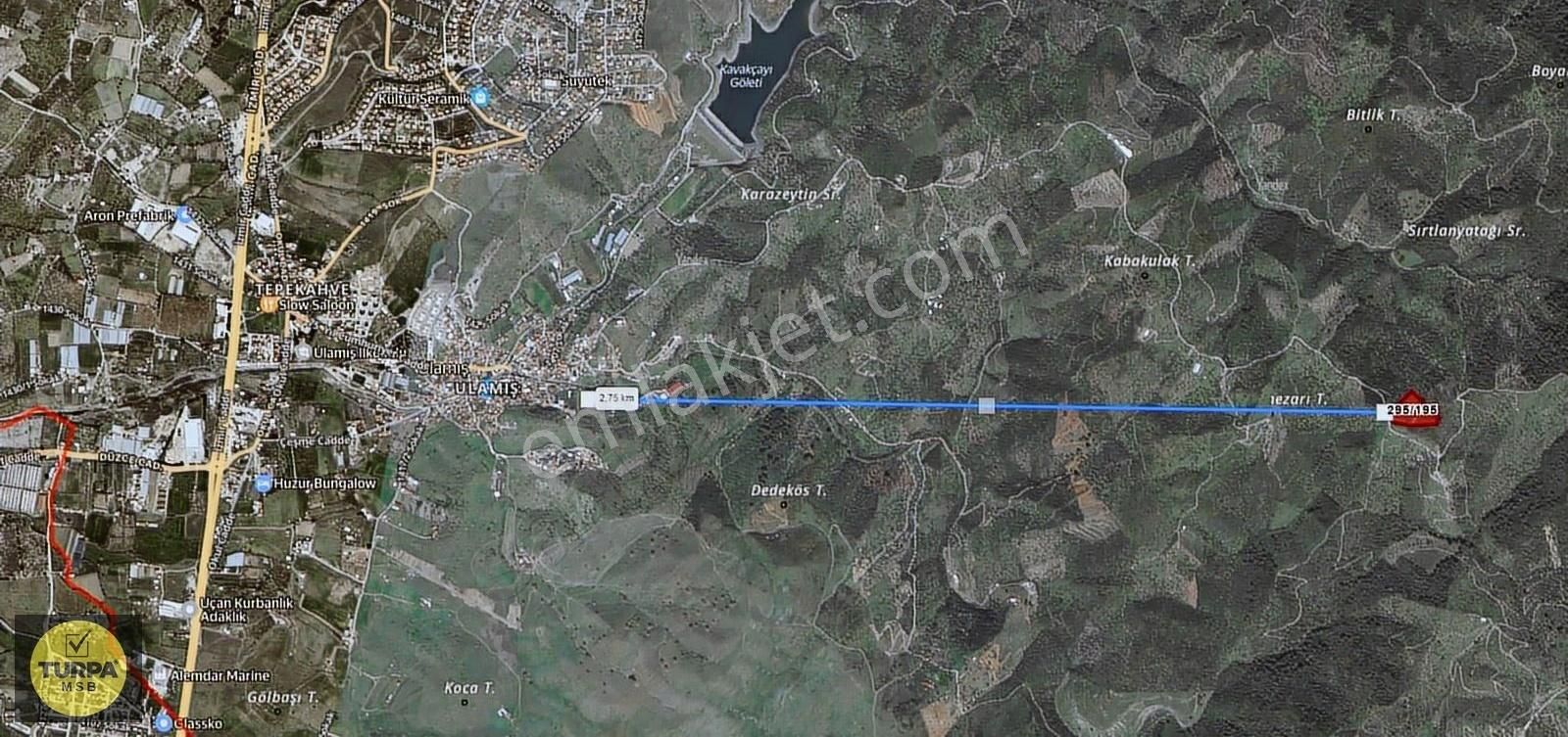 Ulamış Merkez'e 2.5 Km 12.280 M2 Yola Cephe Zeytinlik - Görsel 4