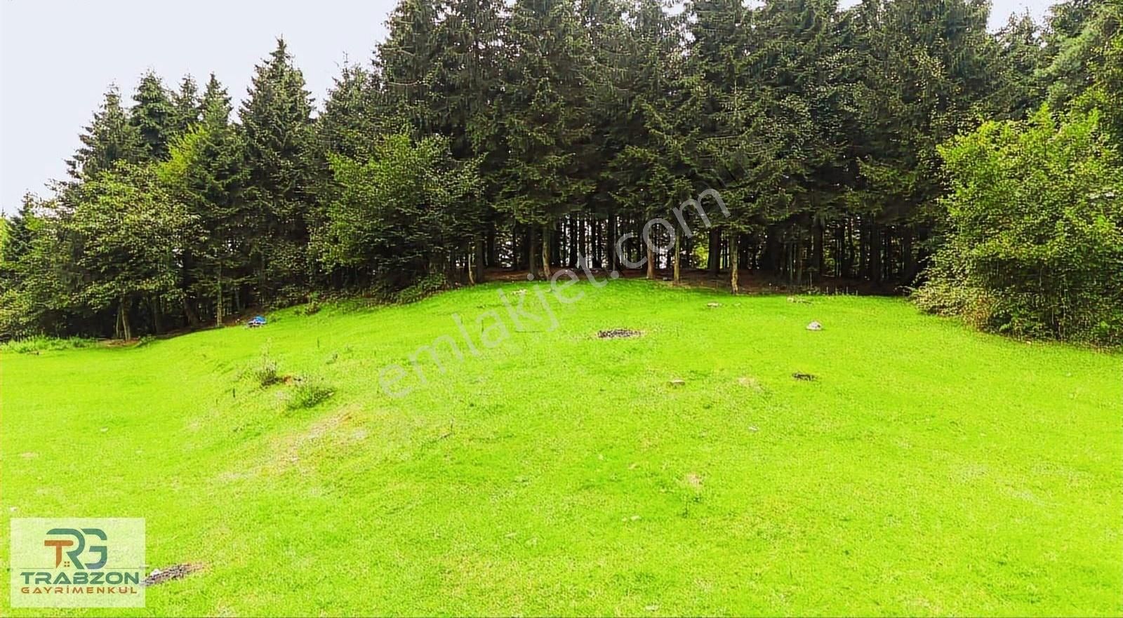 Trabzon Gayrimenkulden Mağmatta Turizm Ruhsatlı 6 Dönüm Arsa - Görsel 10