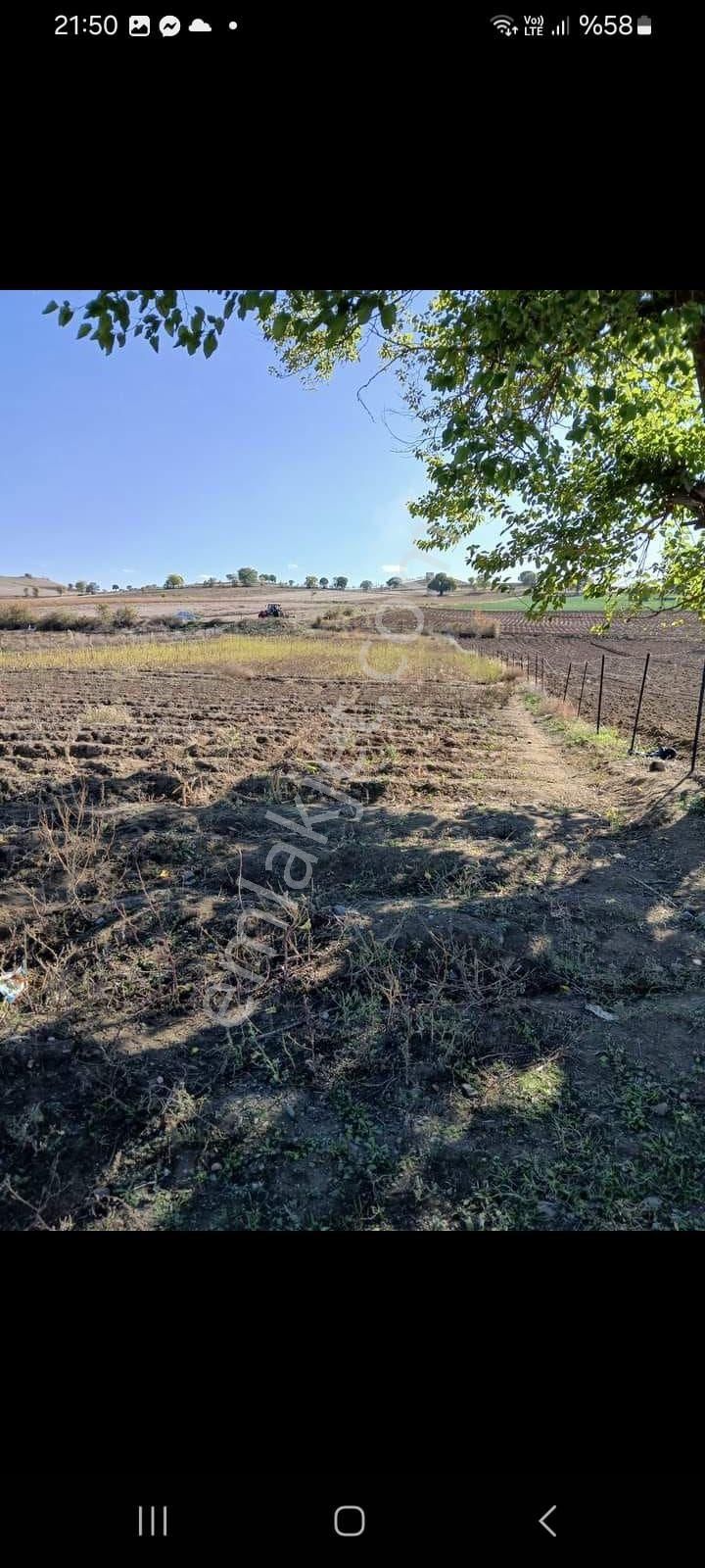 Tokat Erbaa Karayaka Orta Mah Satılık 3.854 M2 Tek Tapu Arazi - Görsel 2