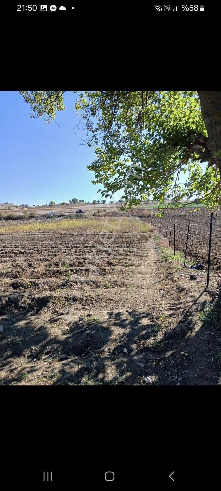 Tokat Erbaa Karayaka Orta Mah Satılık 3.854 M2 Tek Tapu Arazi - Görsel 9