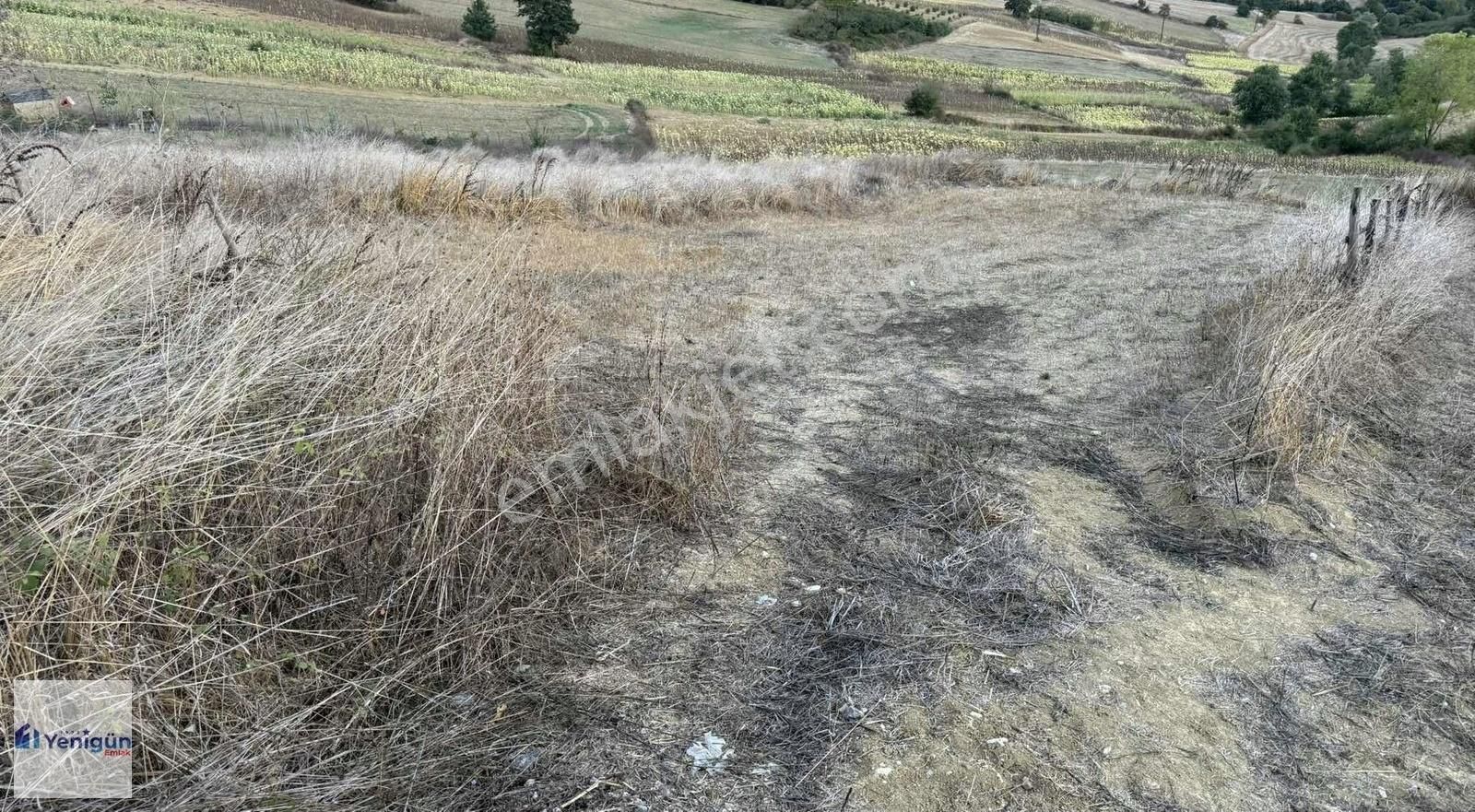 Yenigün Emlak'tan Güzel Konumda Asfalt Üzeri Yatırımlık Tarla