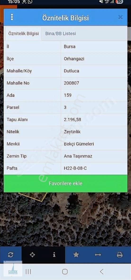 Bursa Orhangazi Dutluca Mah. Eşsiz Göl Manzaralı Zeytinlik - Görsel 9
