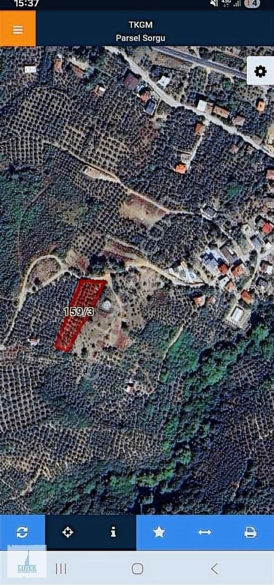 Bursa Orhangazi Dutluca Mah. Eşsiz Göl Manzaralı Zeytinlik - Görsel 8