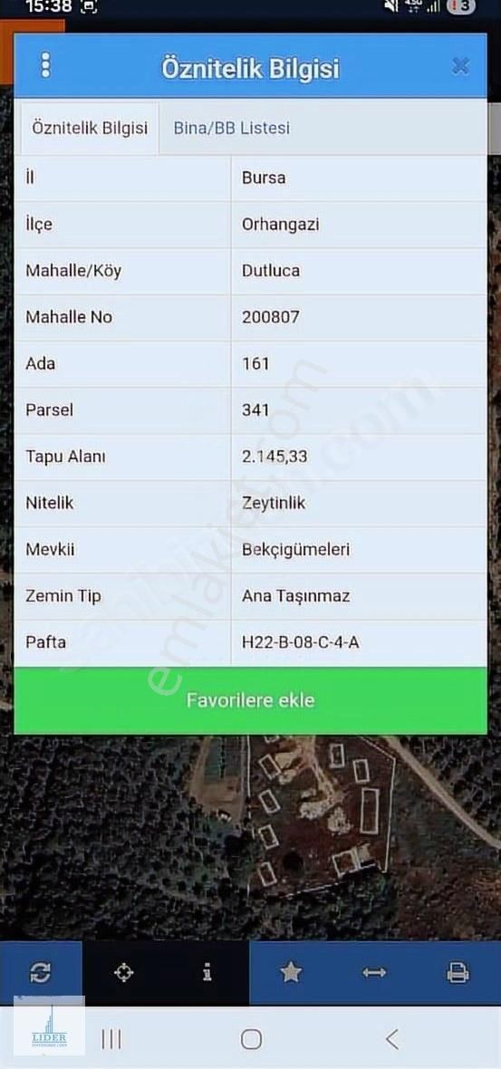 Bursa Orhangazi Dutluca Mah. 2145m2 Göl Manzaralı Zeytinlik - Görsel 6