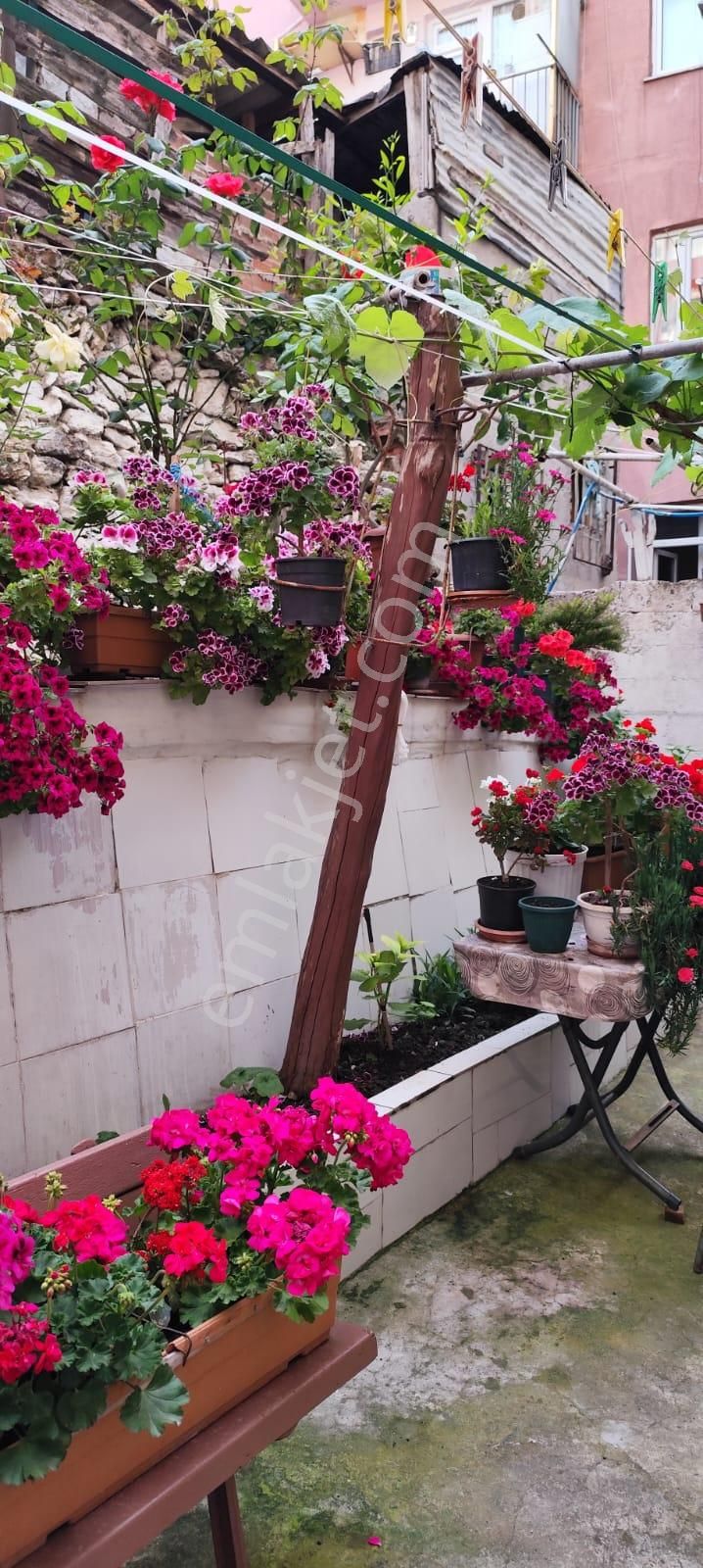 Acil Satılık Bahceli Temiz Daire - Görsel 18