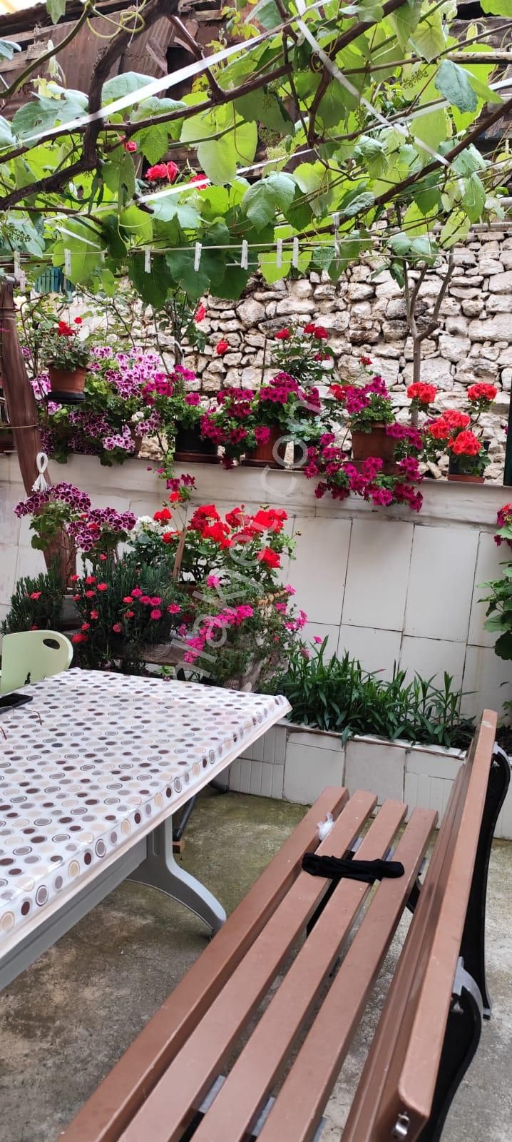 Acil Satılık Bahceli Temiz Daire - Görsel 17