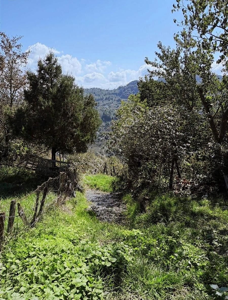 Perşembe Saray Mah 3.635 M2 Ev Yapımına Uygun Fırsat Arsa - Görsel 7