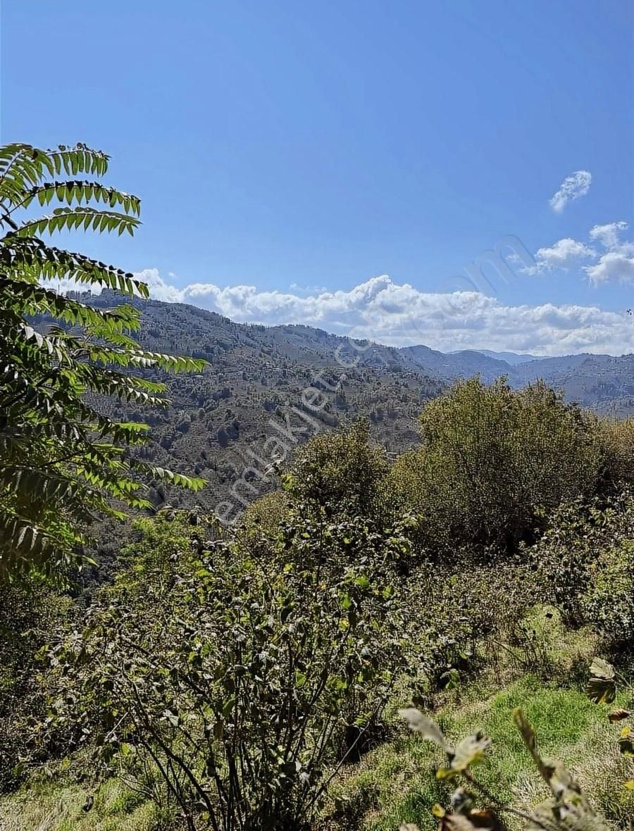 Perşembe Saray Mah 3.635 M2 Ev Yapımına Uygun Fırsat Arsa - Görsel 24